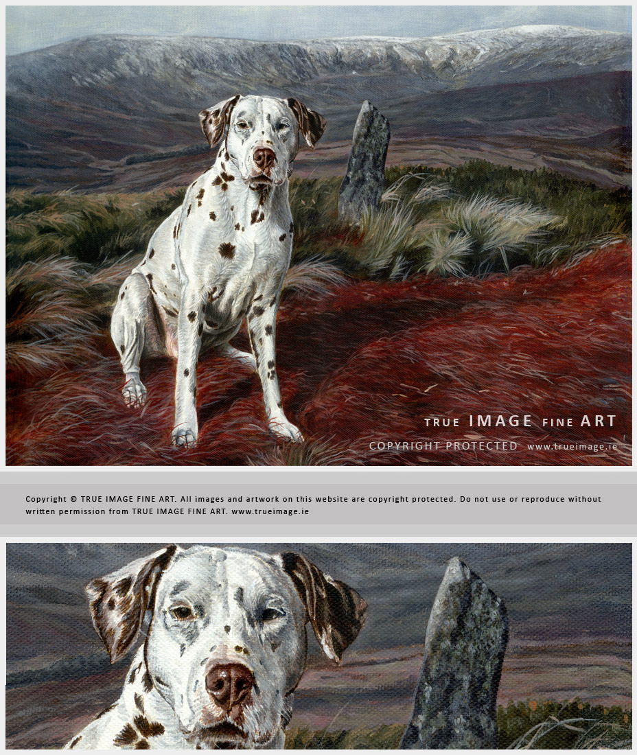 Dalmatian dog portrait painting with Wicklow mountain landscape background in acrylic