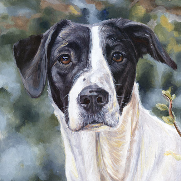 Acrylic Pet Portraits Gallery