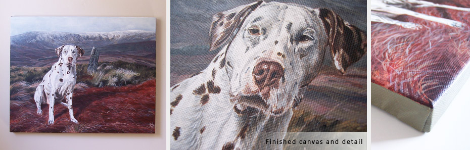 Dalmatian portrait on canvas - detail