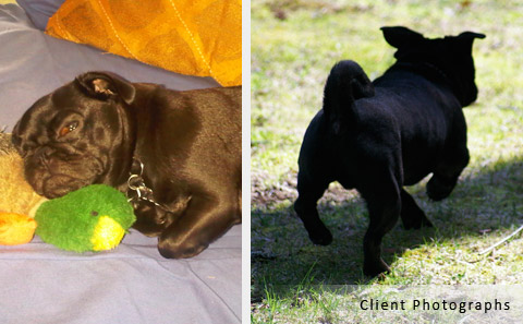 butter client photo