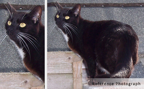 loki client photo
