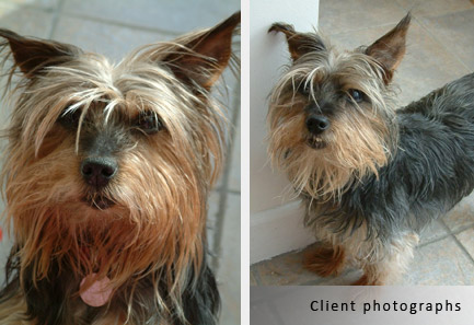 skippy client photographs