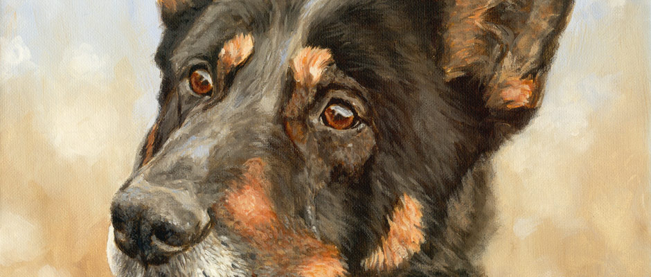 Pet portraits by True Image Fine Art