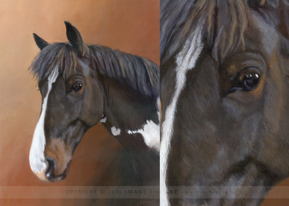 acrylic painting of a brown and white pony head pony portrait painting