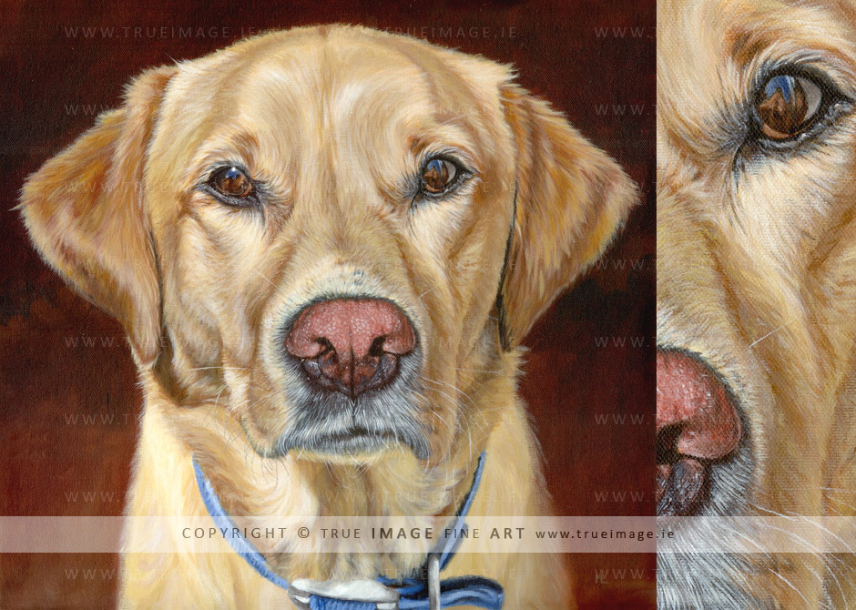 golden labrador retriever portrait painting golden-labrador-retriever-painting