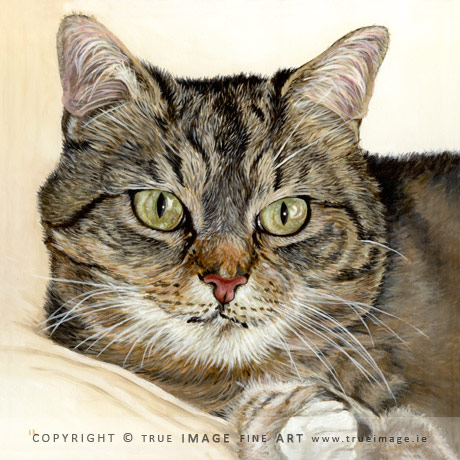 cat portrait painting