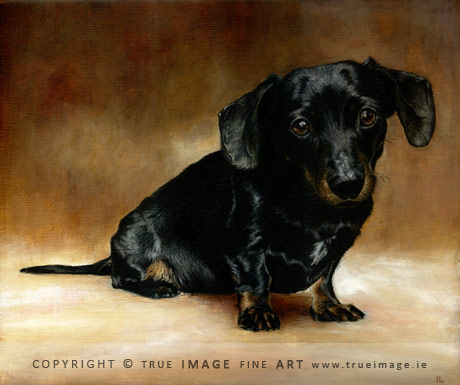 dachshund dog portrait painting