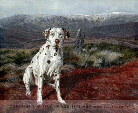 dalmatian dog portrait painting