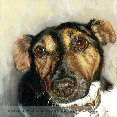 jack russell terrier portrait painting