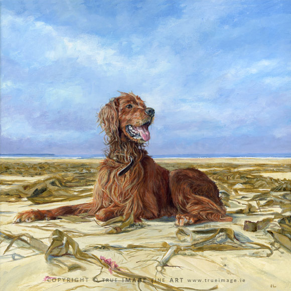 red setter dog lying on a beach with kelp - dog portrait painting in acrylic on canvas