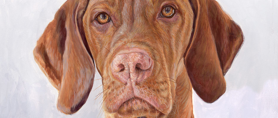 People and family portraits, pet portraits, dog and cat portraits, horse portraits, landscapes and house portraits in pencil or acrylic from your photos by a portrait artist in kilcock ireland