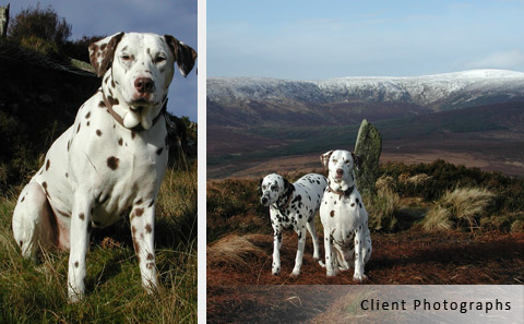 client reference photographs