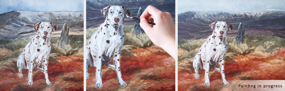 Dalmatian portrait in progress photos