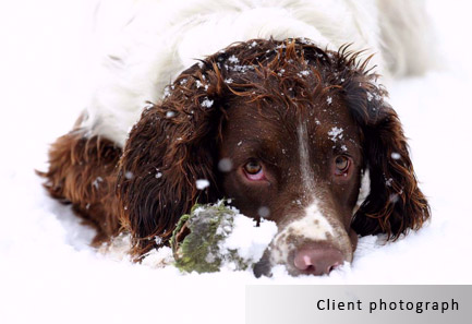 aidan client photograph