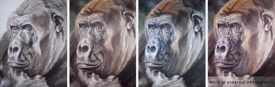 silverback gorilla wildlife painting in progress photographs