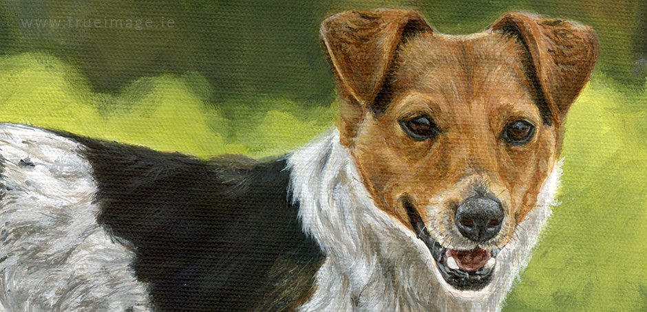 jack russell painting detail