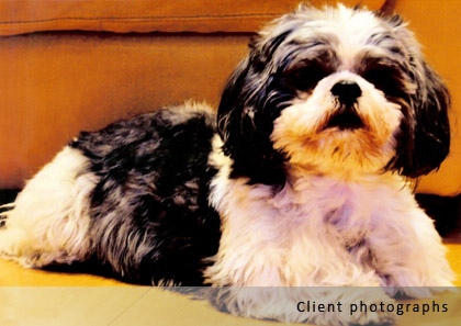 client photo ted client photo