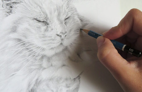 graphite pencil drawing medium graphite pencil drawing medium and materials